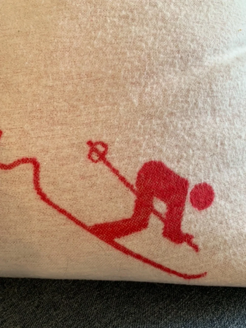 🆕 $179 David Fussenegger Ski Pillow